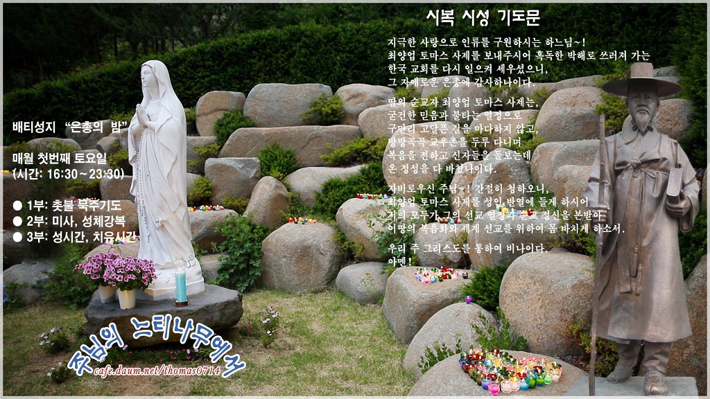 느티나무cafe 이미지