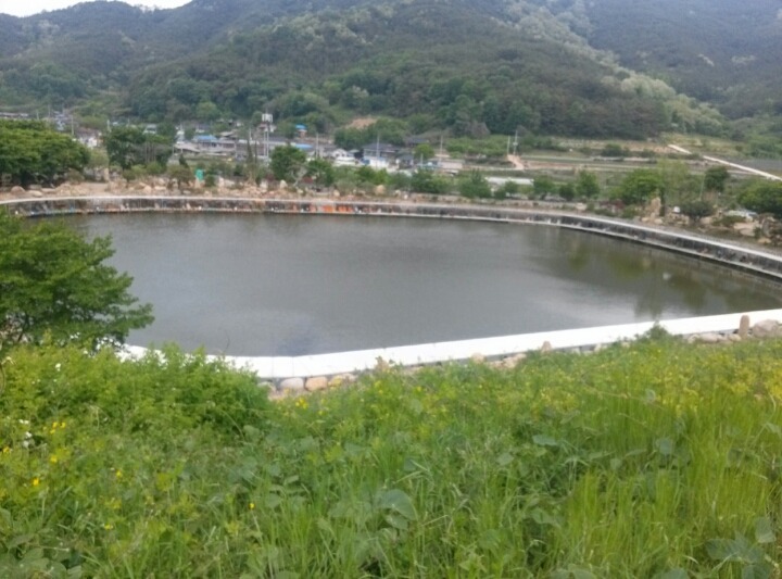 오늘더맑은날 이미지
