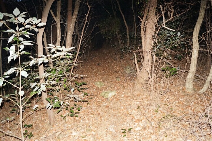 포켓몬 go 속초마을 대관령관장 | 인스티즈