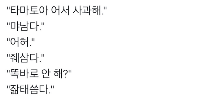 타마토아 어서 사과해 | 인스티즈