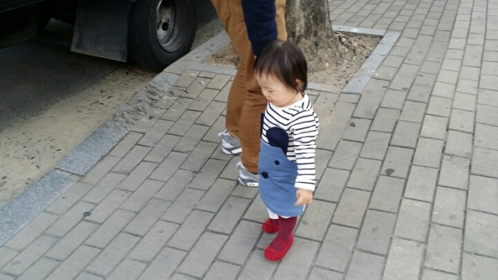 휘슈 이미지
