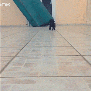 자신이 실제로 사물과 충돌하는순간 (무서움주의) +정화짤추가 | 인스티즈