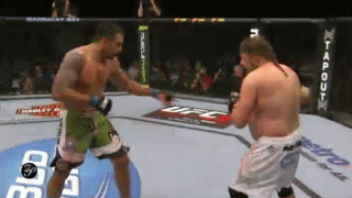 UFC, 가장 인기있는 체급은?.jpg | 인스티즈