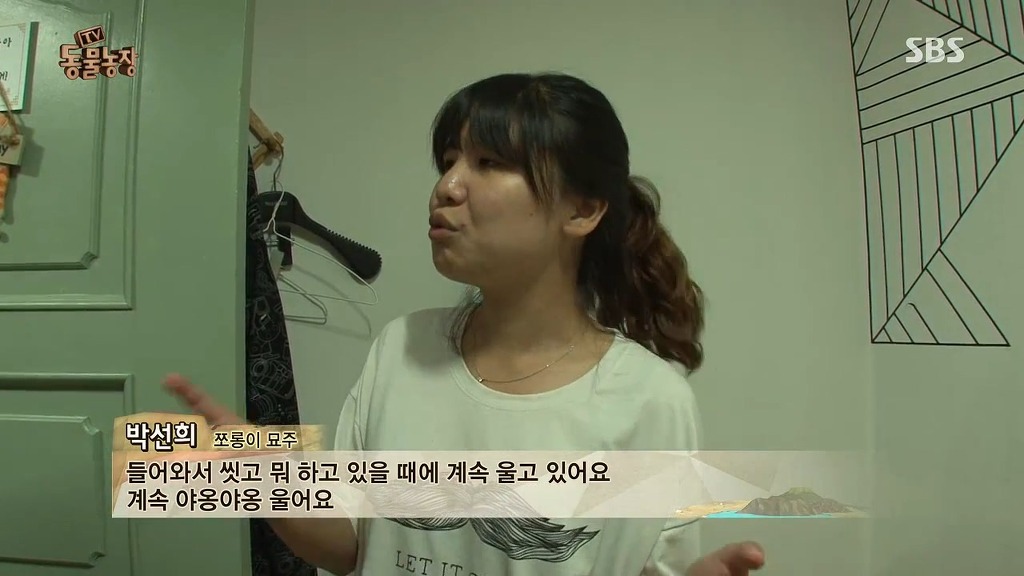 [동물농장] 존트 할말 다 하고 사는 수다쟁이 고양이 쪼롱이ㅋㅋㅋㅋ.jpg | 인스티즈