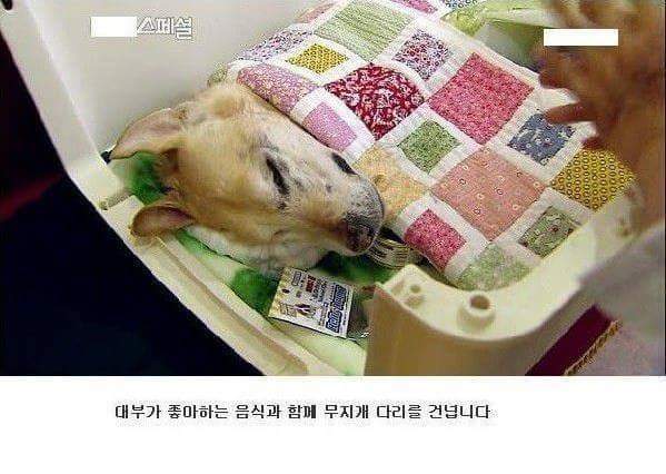 세상에서 가장 아름다운 이별 | 인스티즈