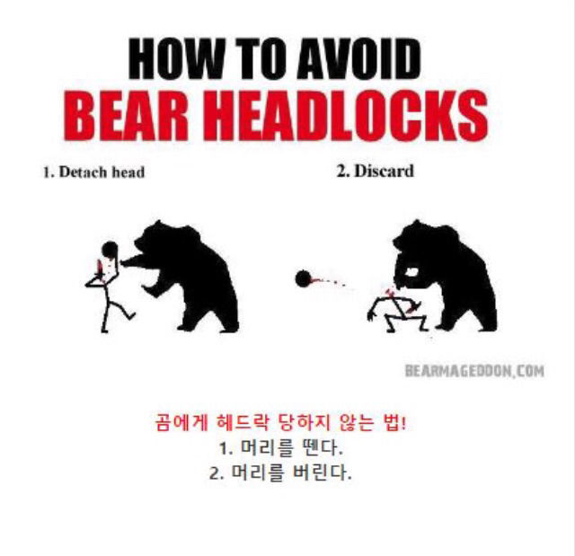 곰에게 공격당했을 때 살아남는 팁 | 인스티즈