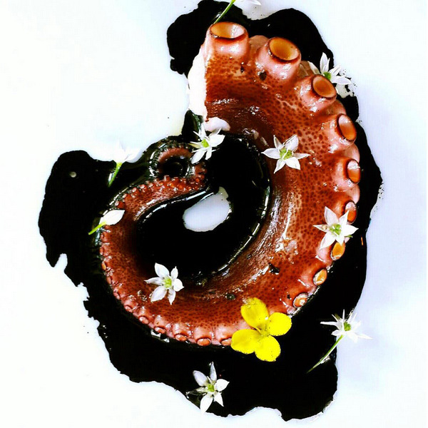 요리는 예술이다 | 인스티즈