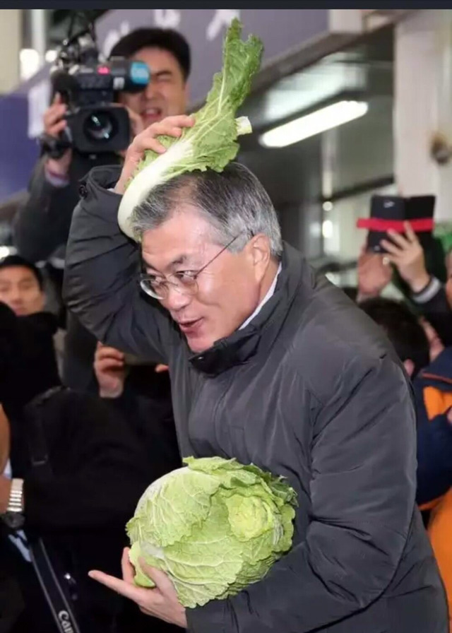 치코리타 | 인스티즈