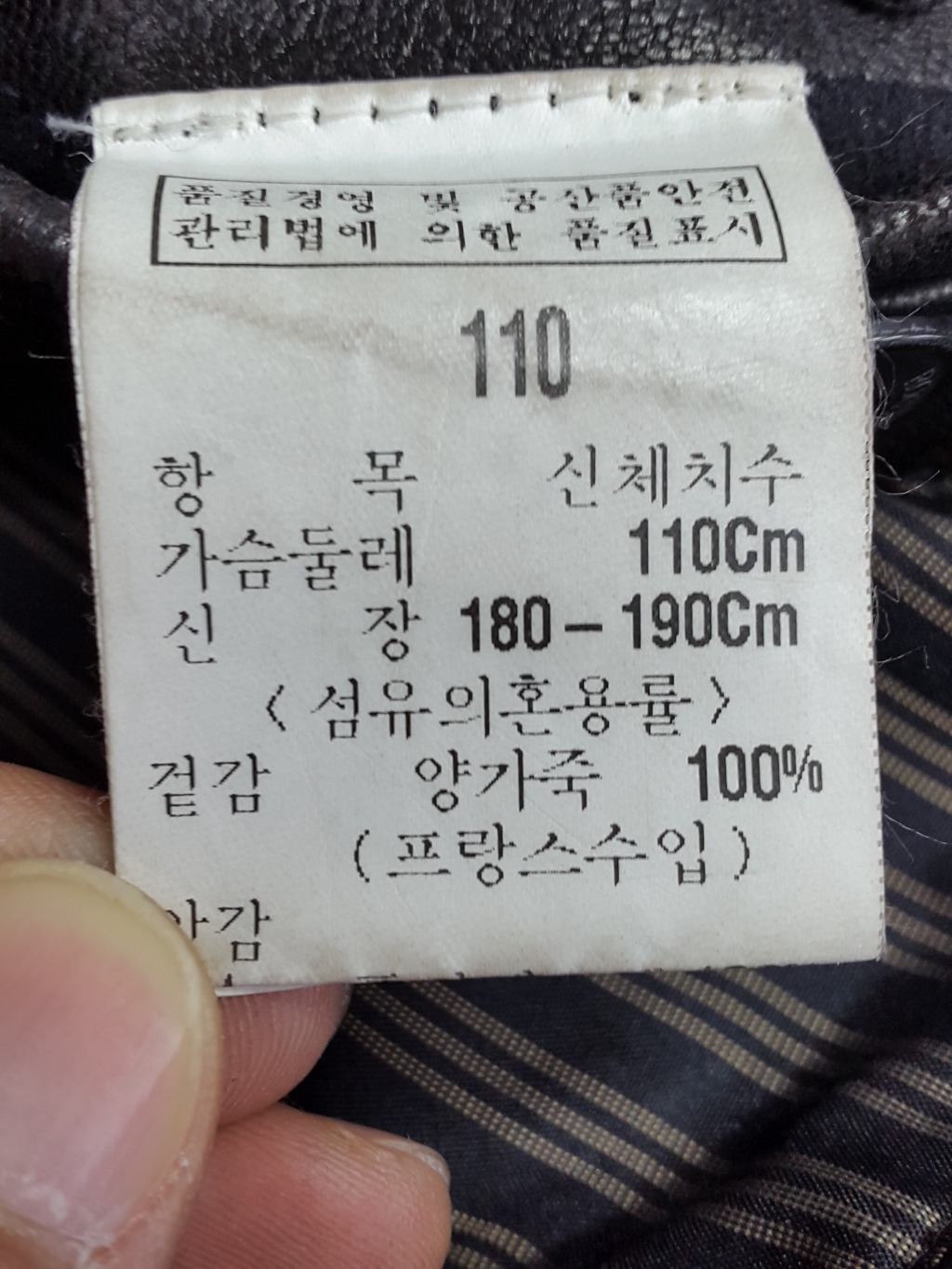 덴폴 이미지