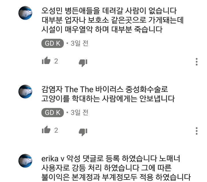 가정집 고양이공장같은 애니머호더 유튜버 봐줘라 | 인스티즈