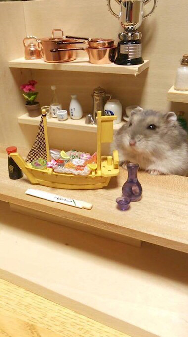 열도의 흔한 선술집 사장.jpg(귀염주의) | 인스티즈