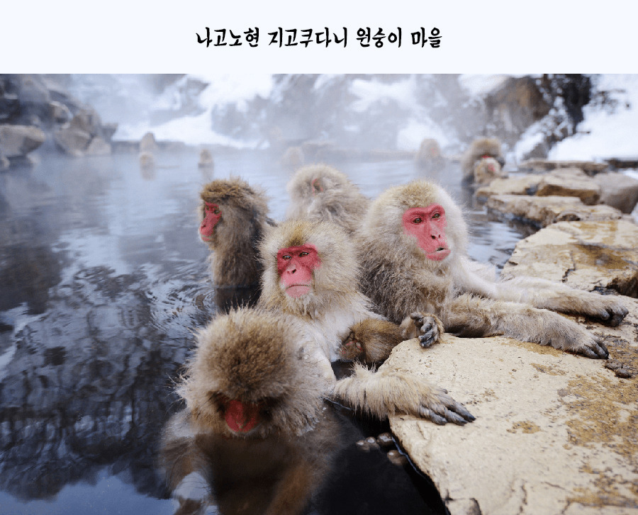 열도의 마을.jpg | 인스티즈