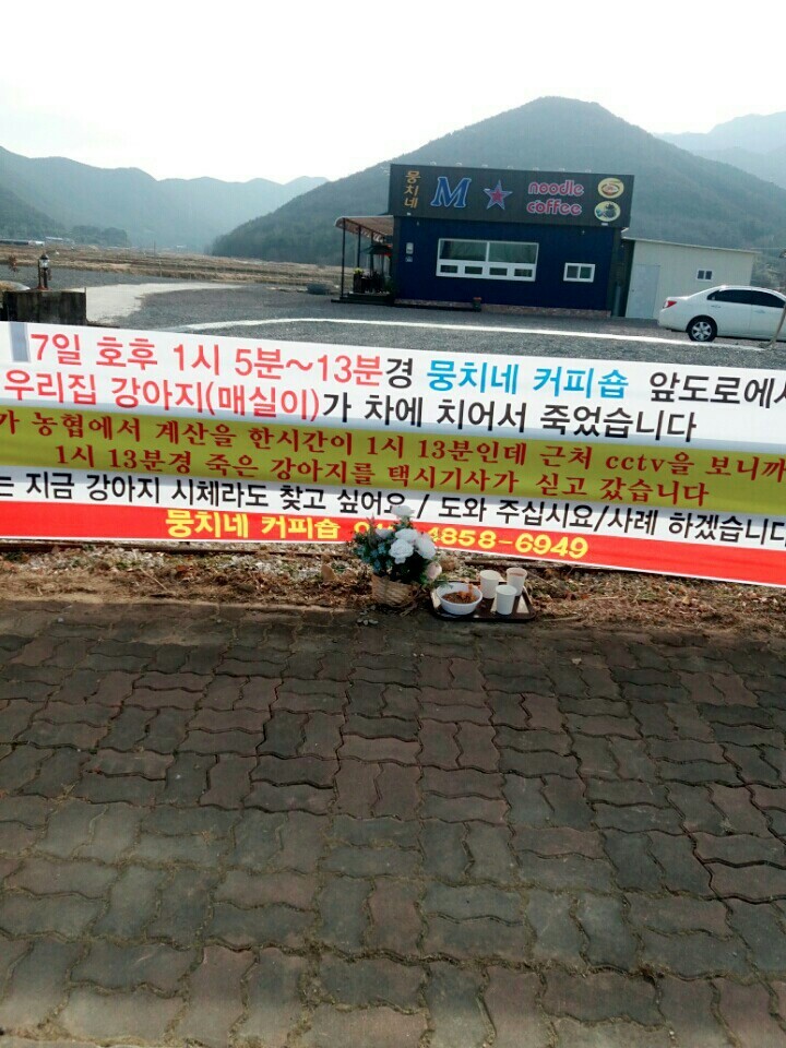 창녕 매실이 이야기를 아시나요?개소주가 되어서 돌아온 우리 매실이를 기억해주세요. 동물보호법강화를 위해 관심가져주세요 | 인스티즈