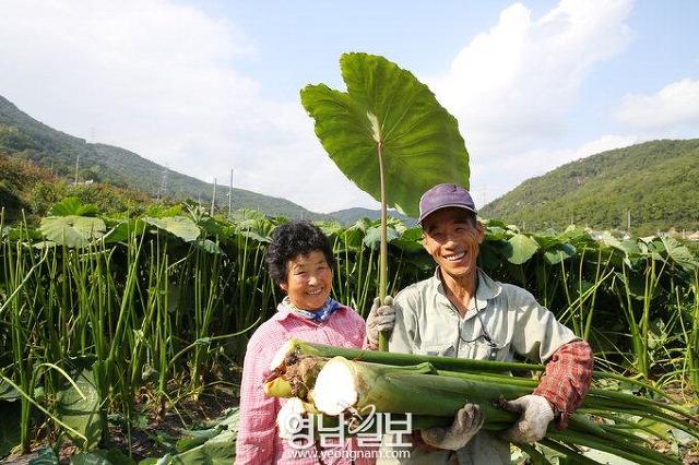 한아름식품 이미지