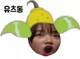 [아이오아이] 포켓몬.ver | 인스티즈