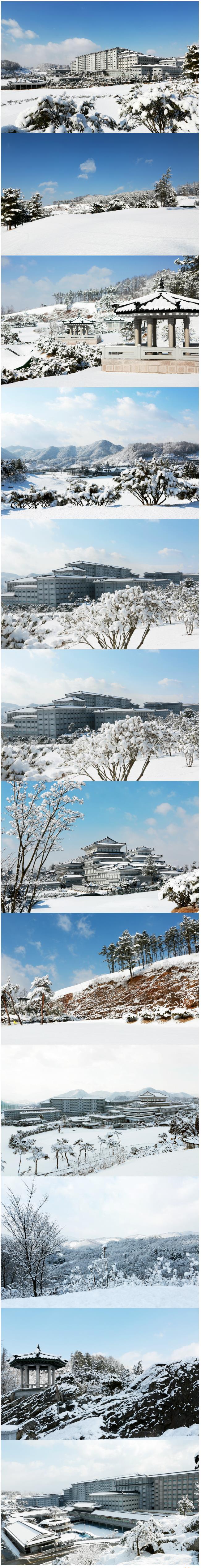 눈 내린 중원대학교.jpg | 인스티즈