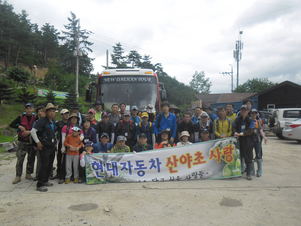 지리산산삼산야초 이미지