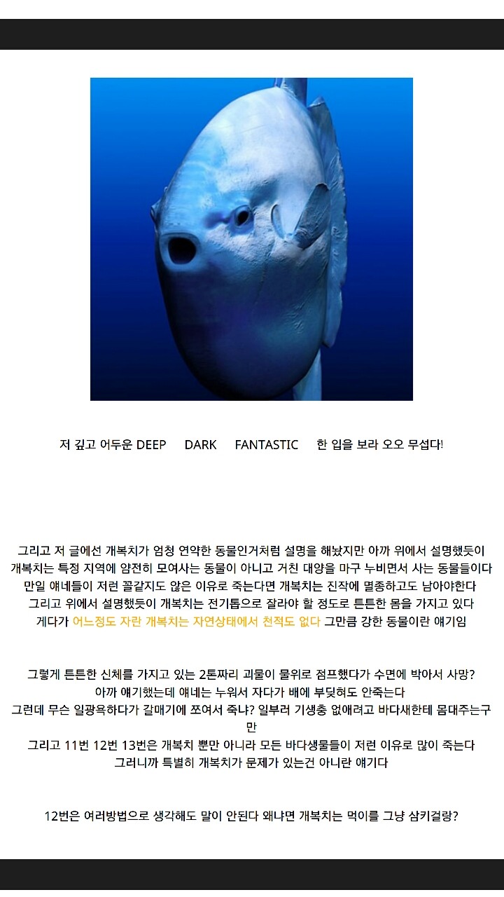 개복치가 죽는 진짜이유 | 인스티즈