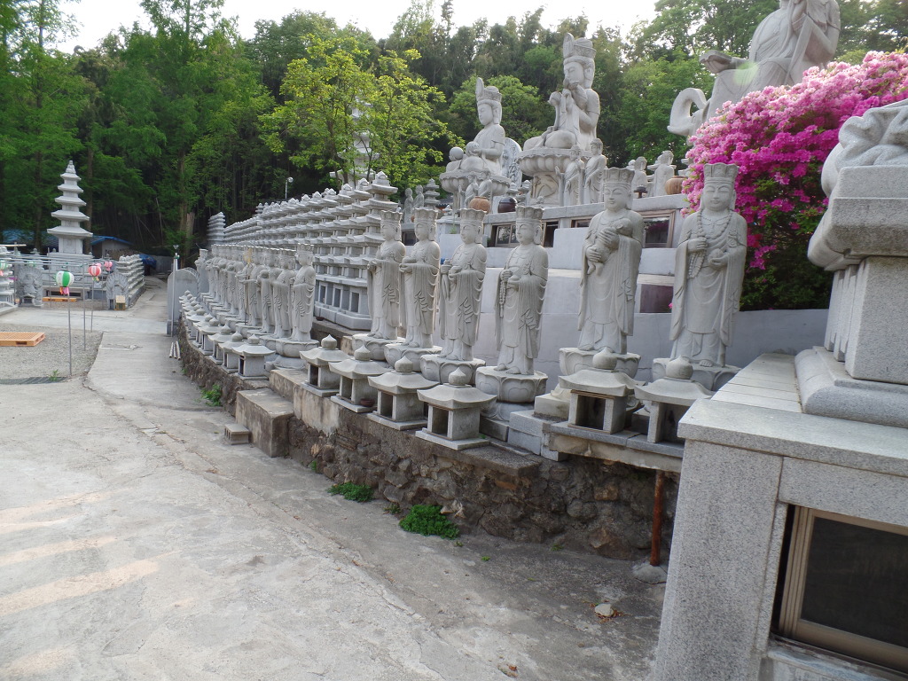 5000년전 마한시대 고인돌이 있는 전주 황방산 공원 산책하기 (안구정화) | 인스티즈