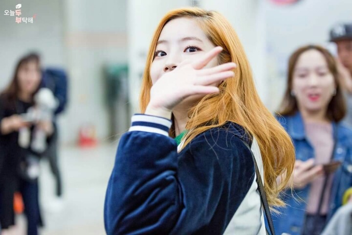 채영이 다현이 사나 모모 | 인스티즈