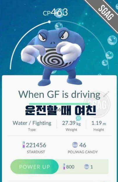 포켓몬고 작명센스 | 인스티즈