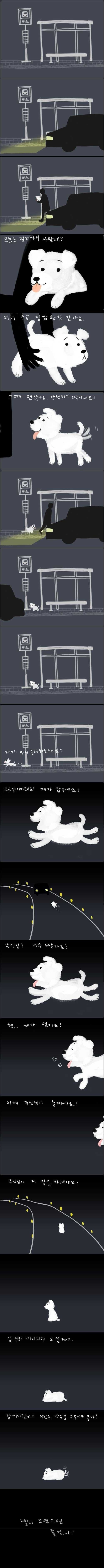 강아지가 버려질때의 심리... | 인스티즈