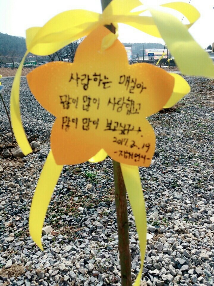 잔인하게 개소주가 되어 돌아온 우리 매실이를 어제 보내주었습니다. 다시는 반복돼서는 안됩니다 | 인스티즈