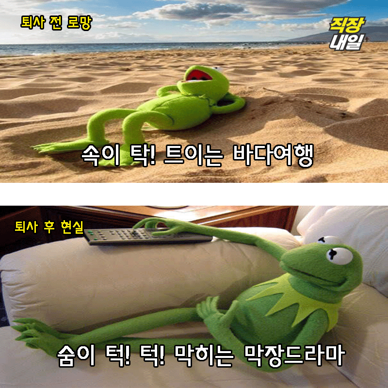 직장인 개구리가 퇴사를 해보았다(팩트폭행 주의) | 인스티즈