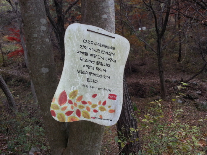 행자 이미지