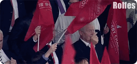 이 나이에 내가 깃발 흔들어야하냐.gif | 인스티즈