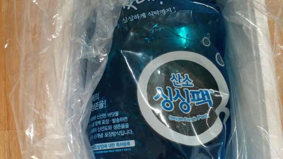큰손참전복 이미지