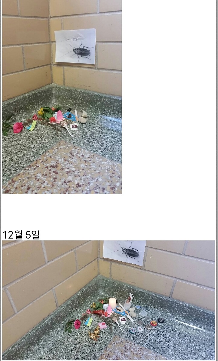 어느 대학교의 장례식... | 인스티즈