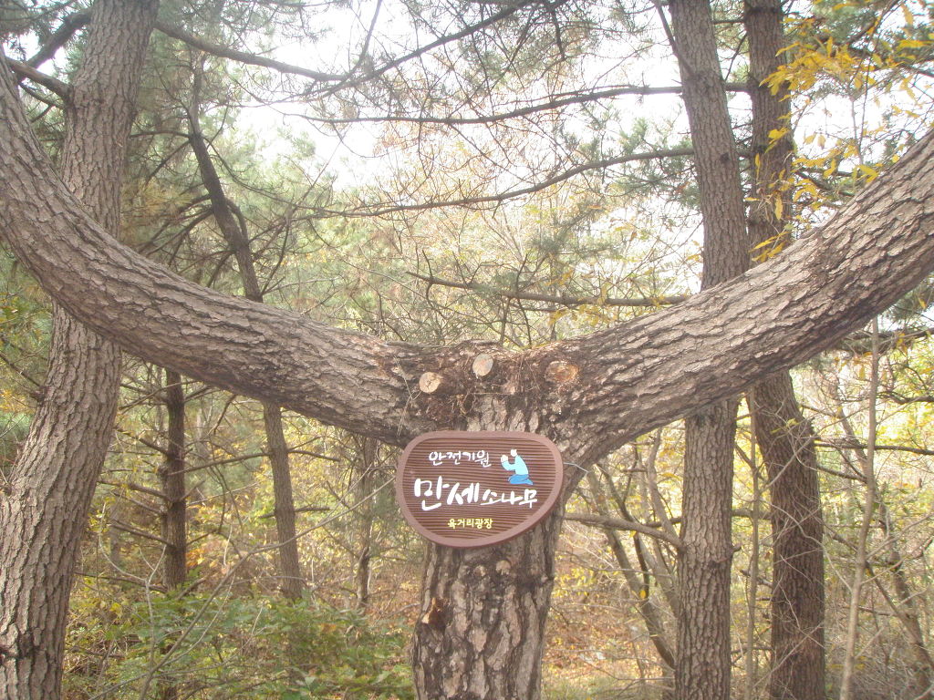 창원MTB 이미지