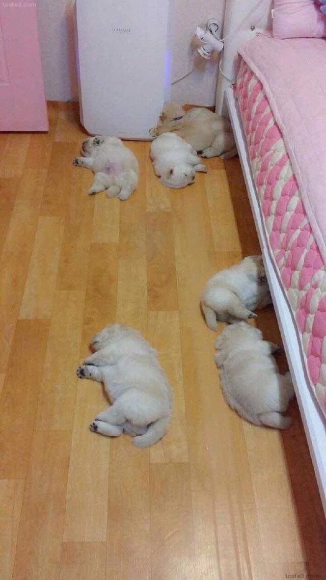 보일러 대참사 | 인스티즈