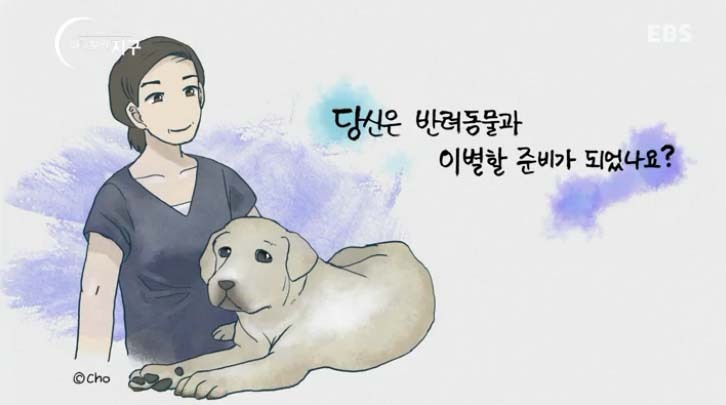  당신은 반려동물과 이별할 준비가 되었나요? | 인스티즈