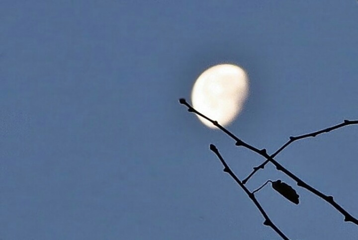 반달 이미지
