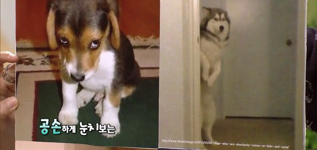 눈치없다 욕먹고 있는 장예원 아나운서 방송의 앞뒤상황 | 인스티즈