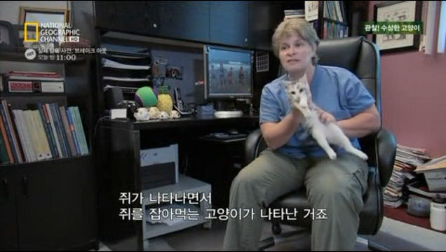 고양이와 다른 애완동물들의 차이점 | 인스티즈