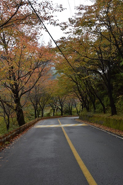 산골펜션 이미지