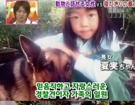 하이디 이미지
