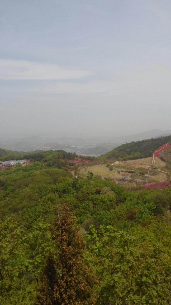 영인산자연휴양림 이미지