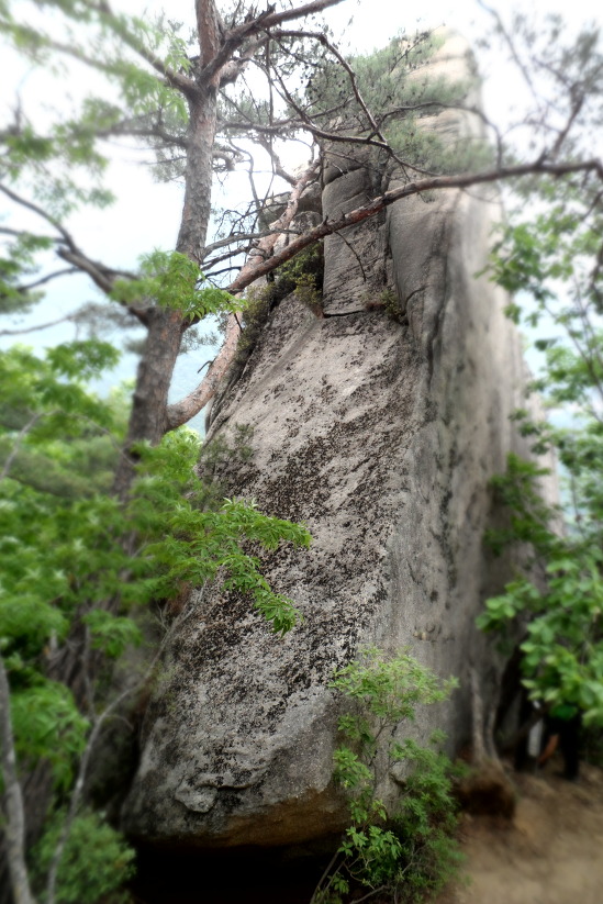 도락산장 이미지