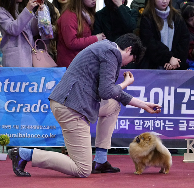 오구오구 이미지