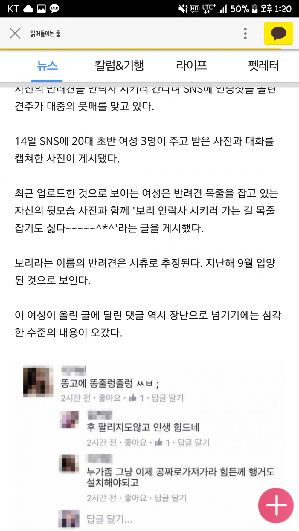 강아지 안락사시키러 가는 길^*^......jpg | 인스티즈