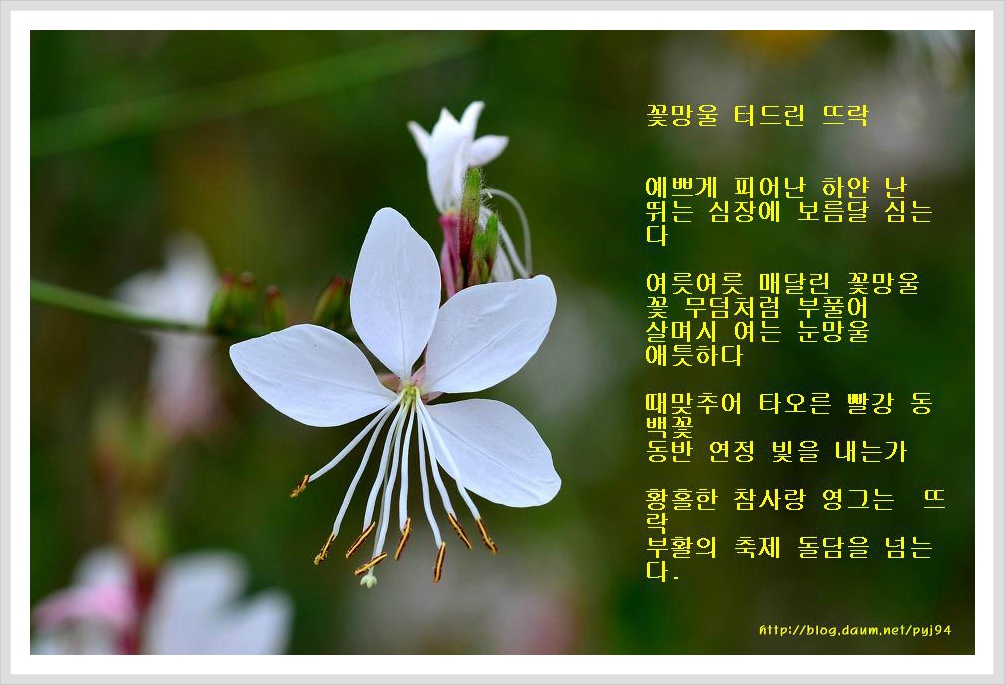 뜨락 이미지