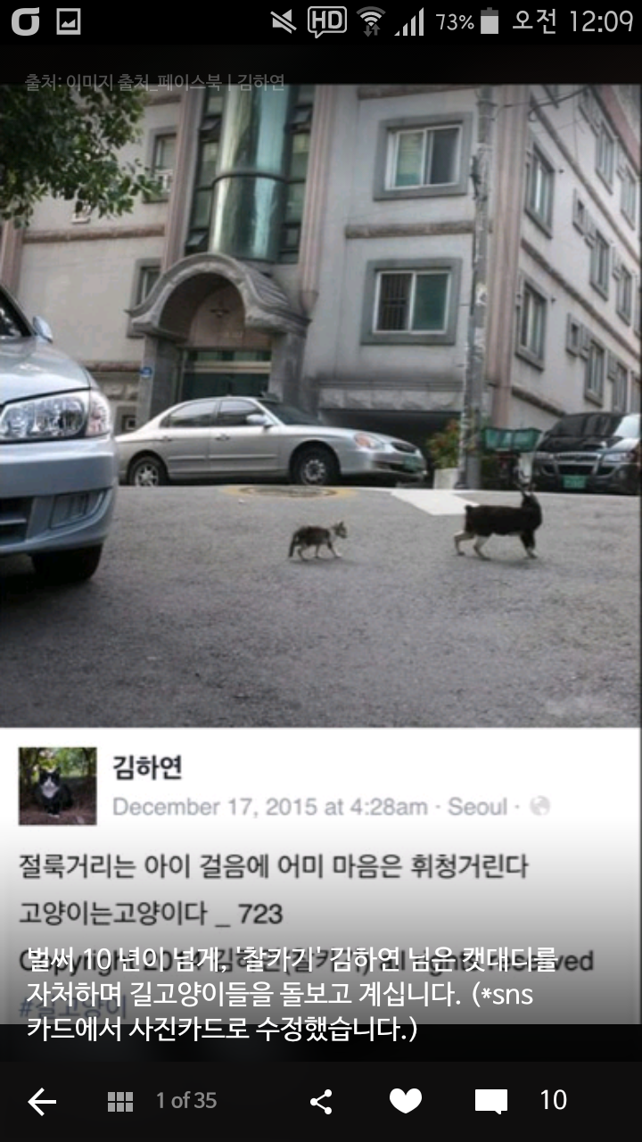 비가오나 눈이오나 길냥이 사진을 찍는 작가 | 인스티즈