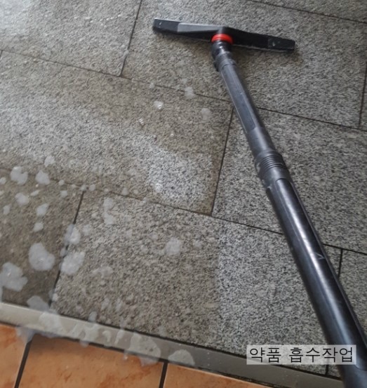 그린종합 이미지