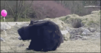 풍선 내꺼야 .gif | 인스티즈