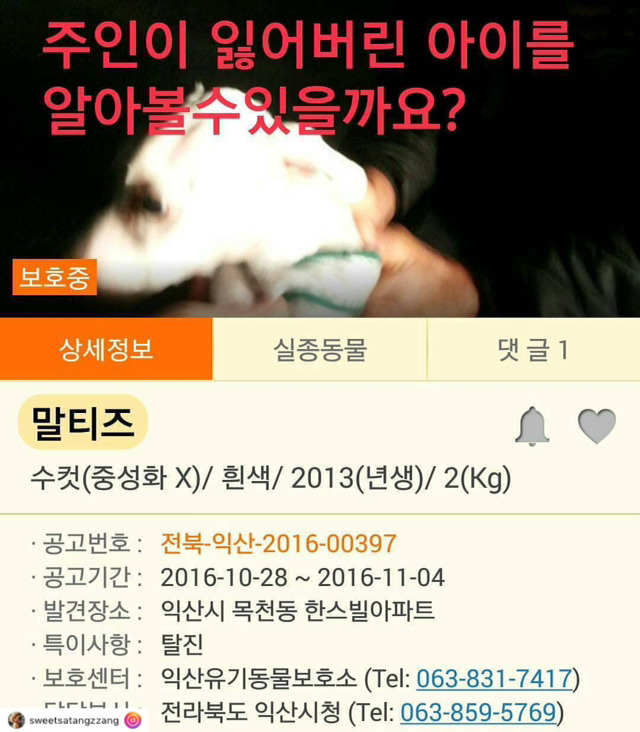 개선이 시급하고 사태가 심각한 시보호소의 모습 | 인스티즈