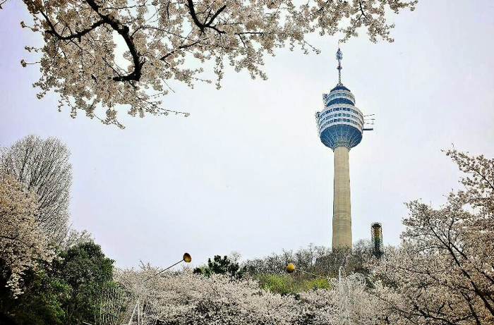 다들 정하셨죠? | 인스티즈